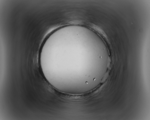 X0000086061174200704132011