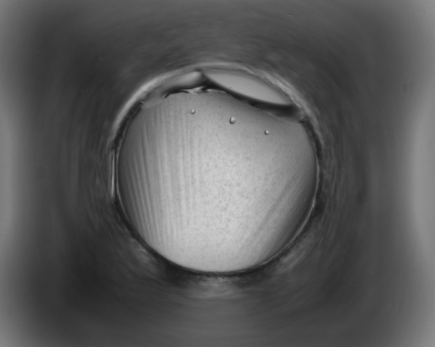 X0000086061175200704132011