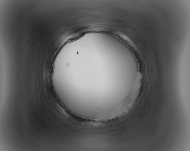 X0000086061177200704132011