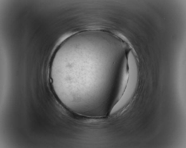 X0000086061179200704132011