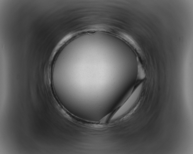 X0000086061180200704132011