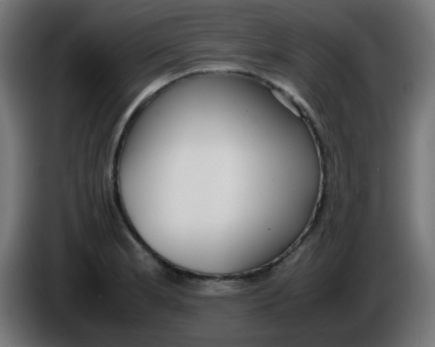 X0000086061181200704132011