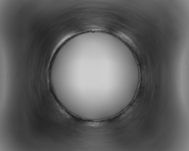 X0000086061182200704132011