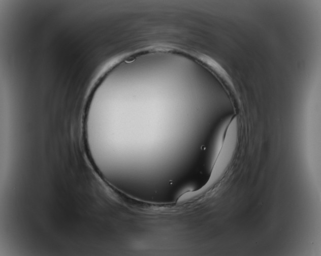 X0000086061183200704132011