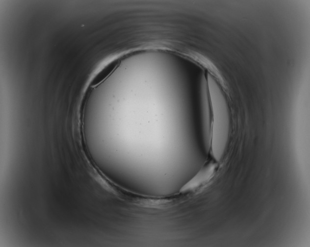 X0000086061184200704132011