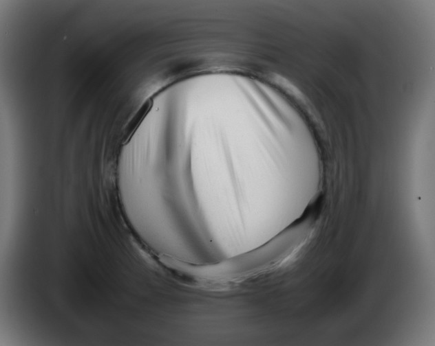 X0000086061185200704132011