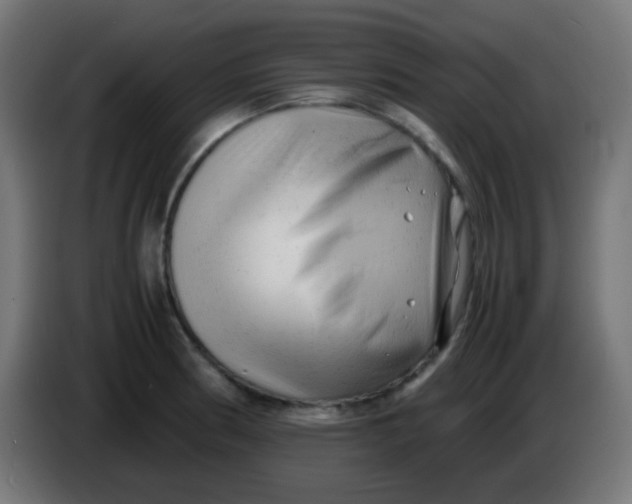 X0000086061186200704132011