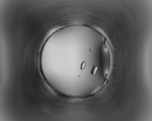 X0000086061187200704132011