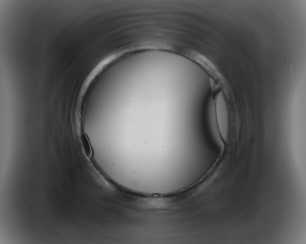 X0000086061188200704132011