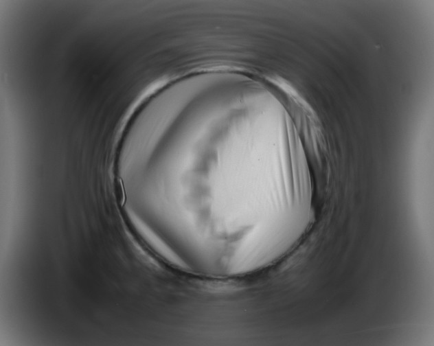 X0000086061189200704132011