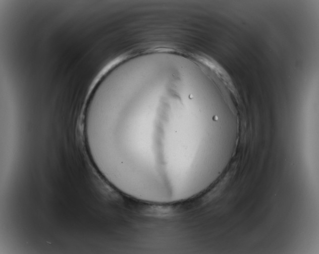 X0000086061190200704132011