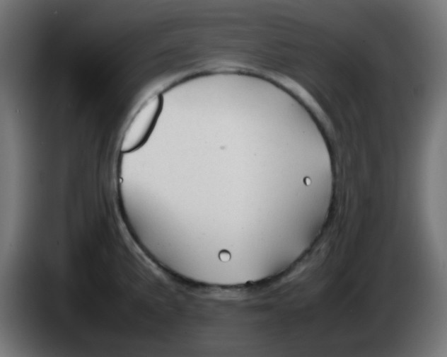 X0000086061191200704132011