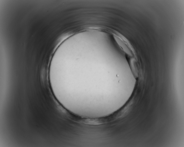 X0000086061194200704132011