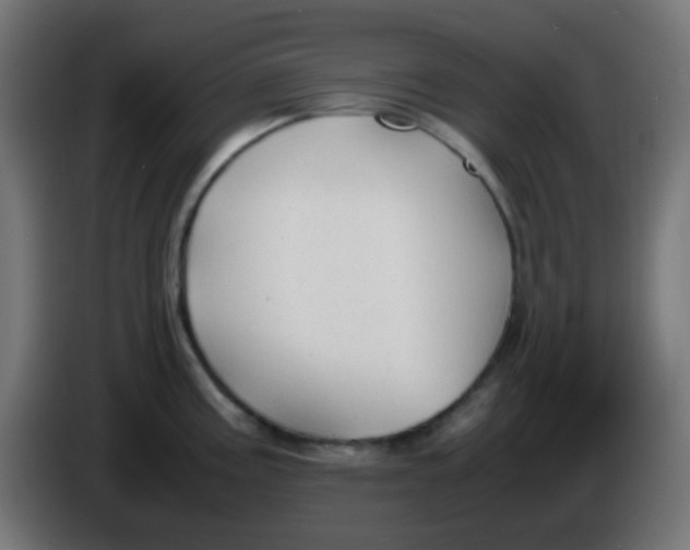 X0000086061195200704132011