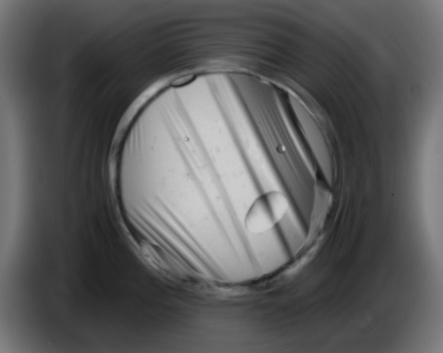 X0000086061196200704132011