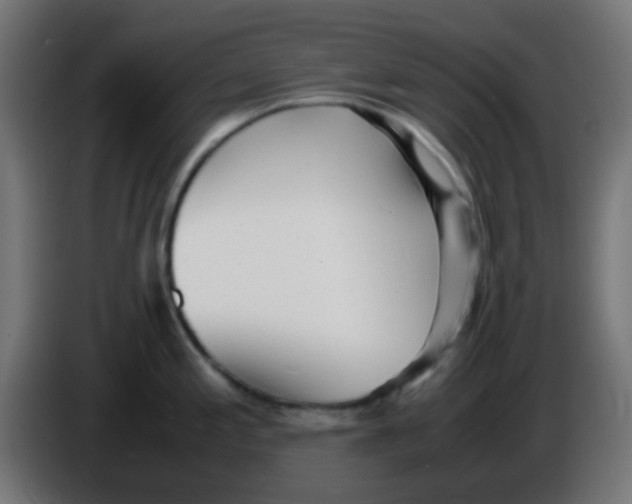 X0000086061197200704132011