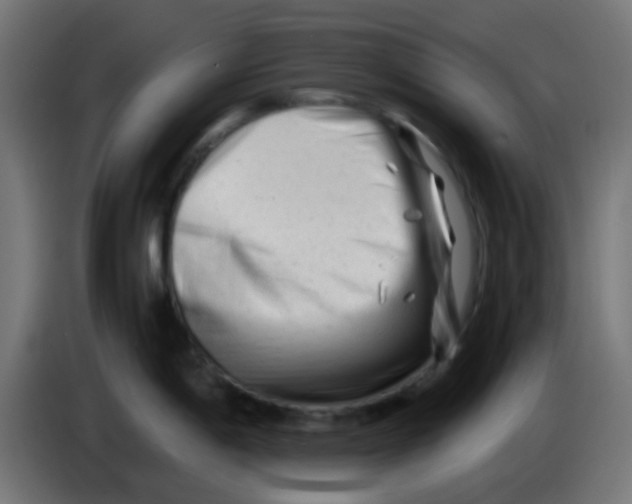 X0000086061198200704132011