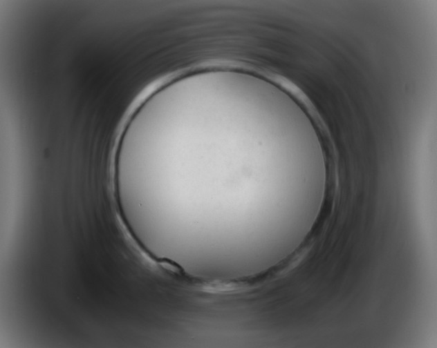 X0000086061199200704132011