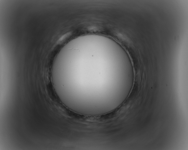 X0000086061205200704132010