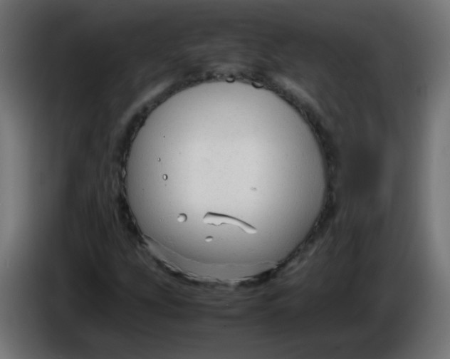 X0000086061207200704132010