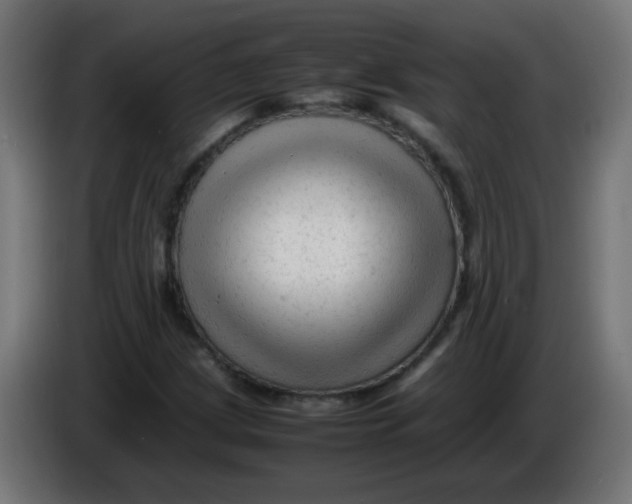 X0000086061209200704132010