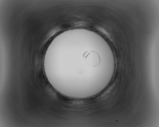 X0000086061211200704132010