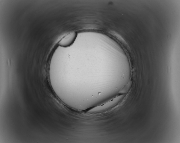 X0000086061212200704132010