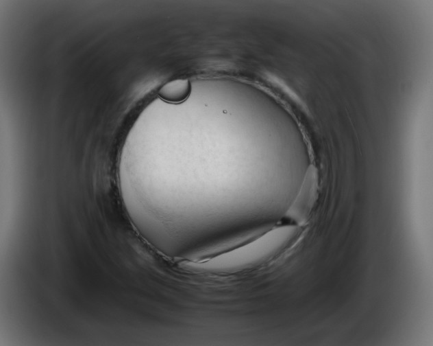 X0000086061213200704132010