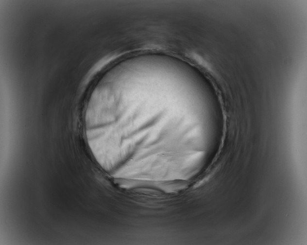 X0000086061215200704132011