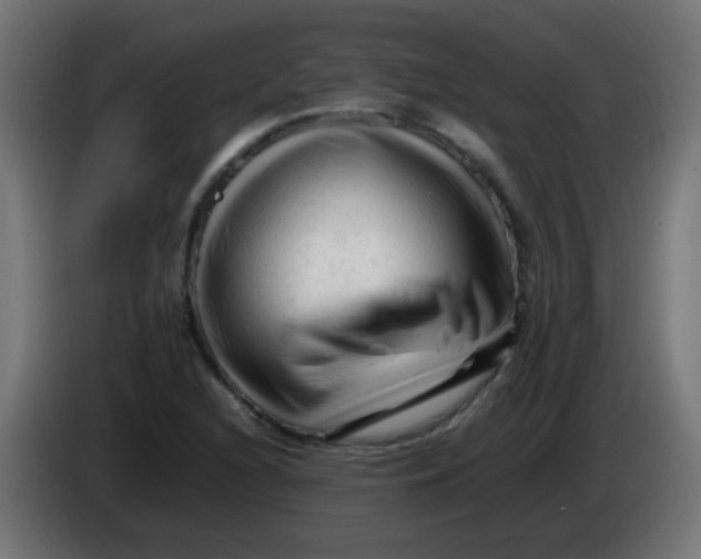 X0000086061216200704132011