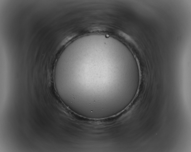 X0000086061217200704132011