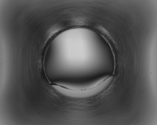 X0000086061218200704132011