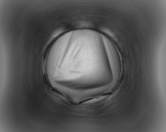 X0000086061219200704132011