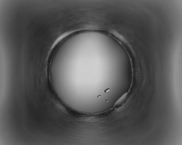 X0000086061222200704132011