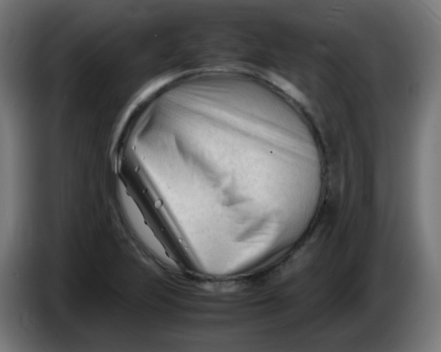 X0000086061223200704132011