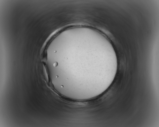 X0000086061224200704132011