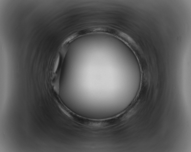 X0000086061225200704132011