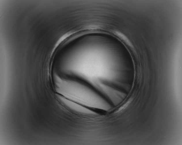 X0000086061226200704132011