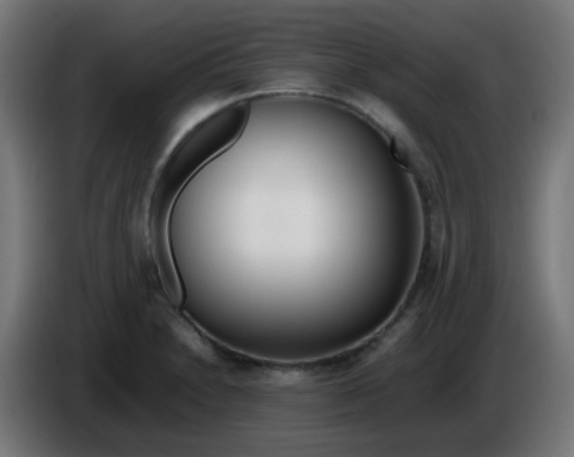 X0000086061230200704132011