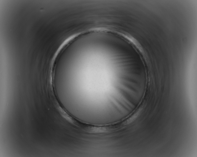 X0000086061232200704132011