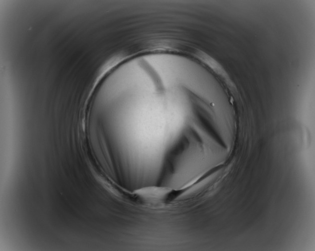 X0000086061234200704132011