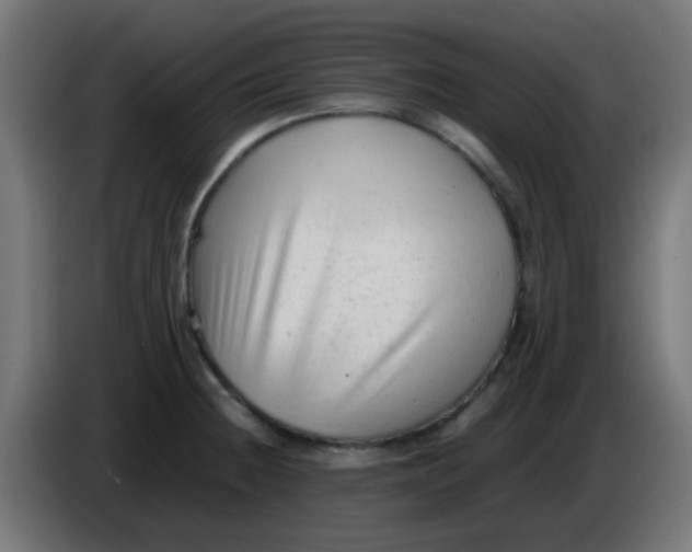 X0000086061236200704132011