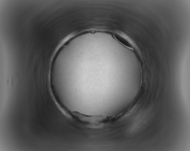 X0000086061237200704132011