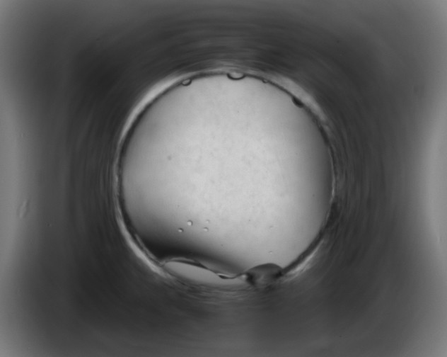 X0000086061239200704132011