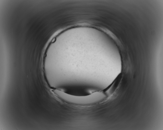 X0000086061240200704132011