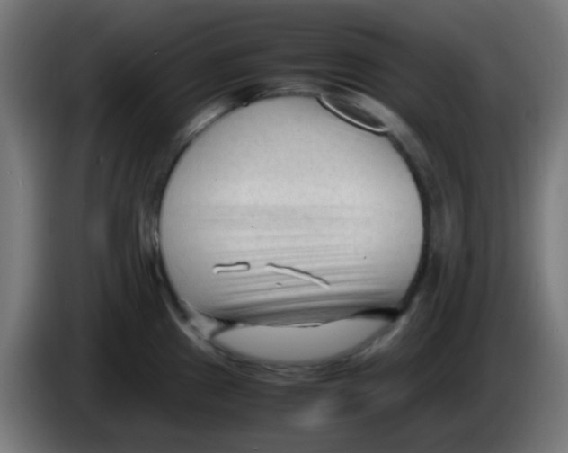 X0000086061241200704132011