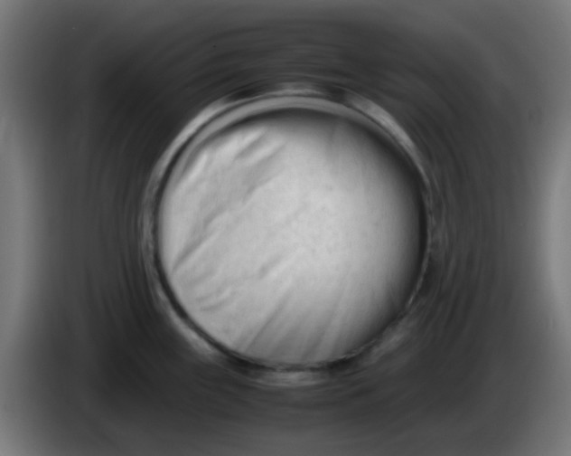 X0000086061243200704132011