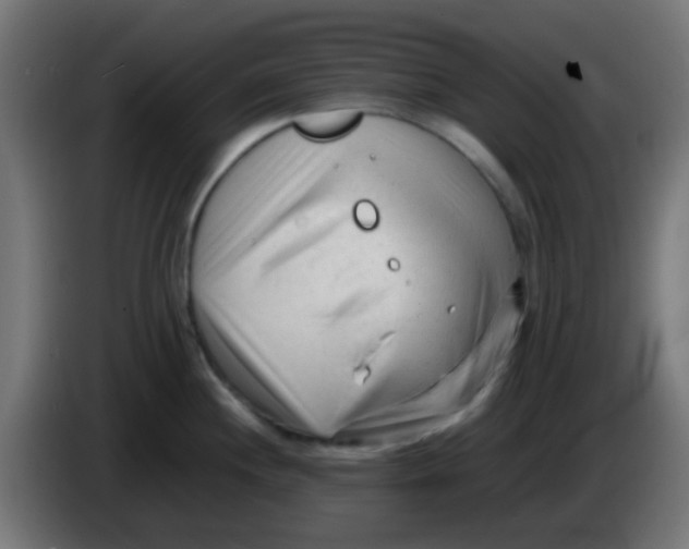 X0000086061244200704132011