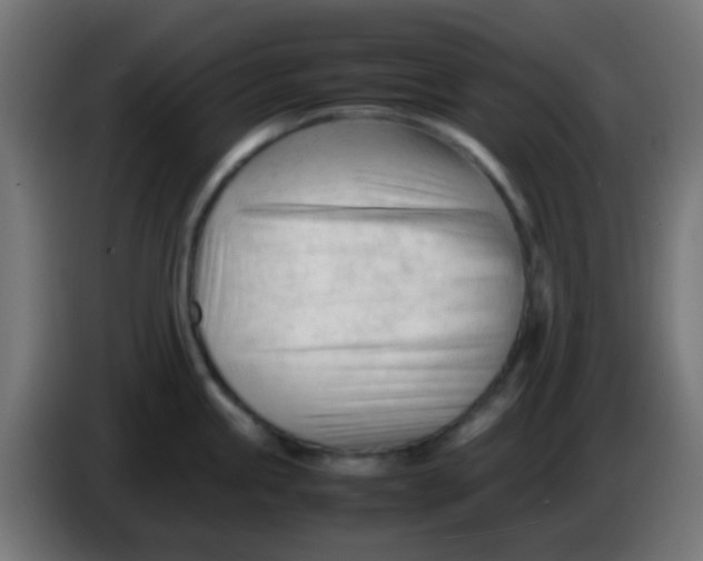 X0000086061245200704132011