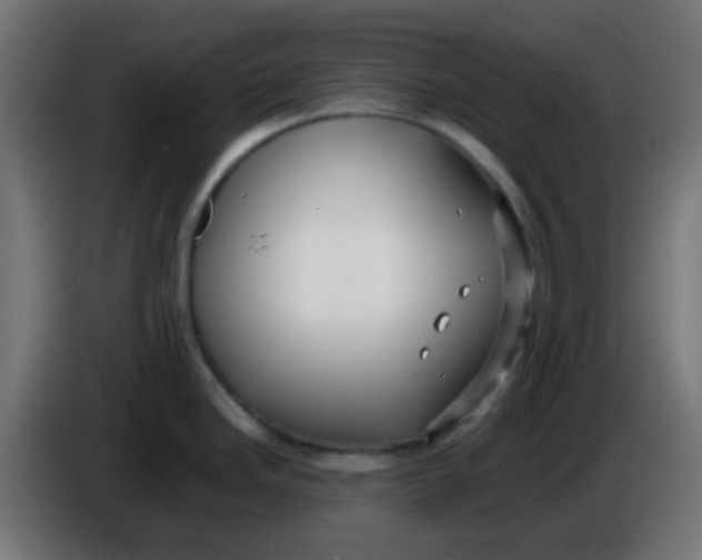 X0000086061246200704132011